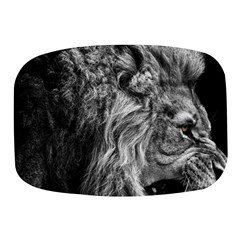 Angry Male Lion Wild Animal Mini Square Pill Box by Loisa77