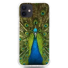 Peacock Feathers Bird Plumage Iphone 12/12 Pro Tpu Uv Print Case by Perong