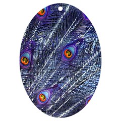 Peacock Bird Feathers Coloured Plumage Uv Print Acrylic Ornament Oval by Perong