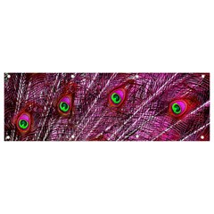 Peacock Feathers Coloured Plumage Pink Red Banner And Sign 9  X 3  by Perong