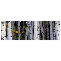 White Birch Trees Autumn Banner And Sign 9  X 3  by Perong