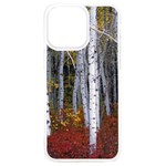 White Birch Trees Autumn iPhone 15 Pro Max TPU UV Print Case Front