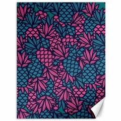 Summer Pineapples Canvas 36  X 48  by Paksenen