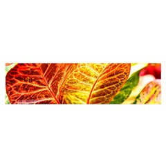 Leaves Plant Pattern Croton Nature Oblong Satin Scarf (16  X 60 ) by Sabxi